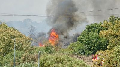 Hundreds of wildfires break out as temperatures top 40C