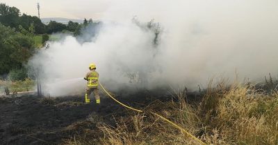 Second fire breaks out in Dublin park amid sizzling temperatures