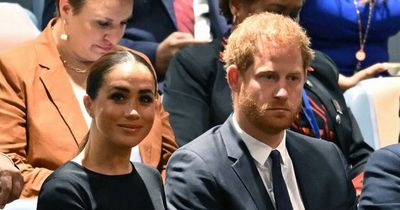 Prince Harry riddled with 'tension and anxiety' at UN with Meghan, body language expert says