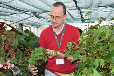 Edinburgh’s Botanic Garden aids in discovery of 70 new plant species