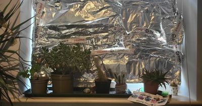 I tried 68p kitchen foil on my windows to see if it really keeps your house cool in a heatwave