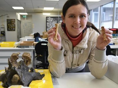 Australia's first vulture confirmed