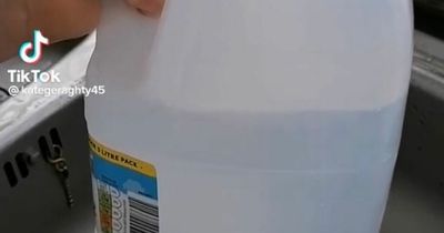 Woman shares genius DIY trick to cool down as summer heat continues