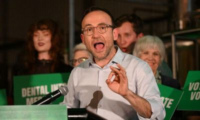 Greens will ruin climate consensus if they sink 43% target, Labor activist warns