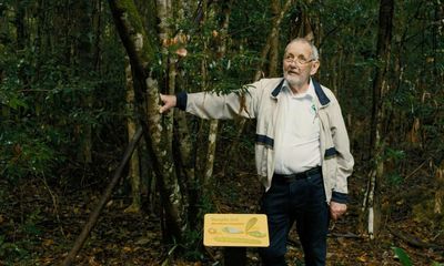 Nutting it out: why Queenslanders aren’t letting native macadamias go without a fight
