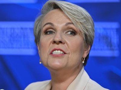 Plibersek visit after environment report