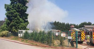 Hundreds of racehorses evacuated from stables as huge fires break out during heatwave