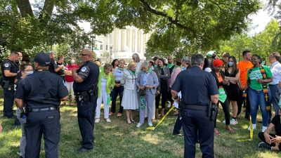 17 House Democrats arrested at abortion rights rally
