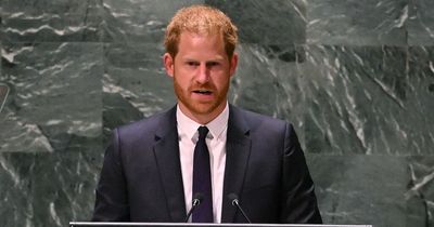 Prince Harry accused of 'copying and pasting' Prince William speech at UN in New York