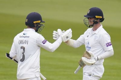 Felix Organ helps Hampshire build solid total against Gloucestershire