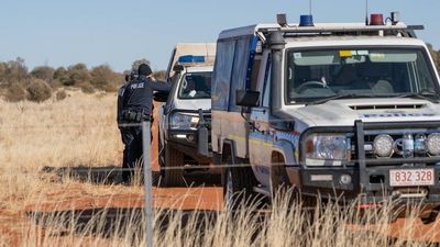 NT Police Minister labels deaths near Alice Springs a 'horrific' domestic violence incident
