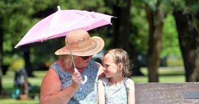 When will the next heatwave be, and how can you prepare?