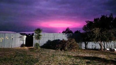 Mysterious pink glow over town confirmed as medicinal cannabis facility lighting