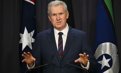 Tony Burke promises crossbench ‘guaranteed respect’ in new parliament but says staff cuts to stay