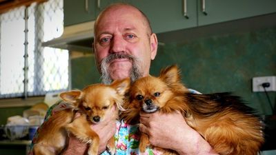 Dangerous dog law reform sought by councils as attacks soar in Townsville