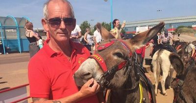 Traditional donkey rides may be scrapped because of climate change