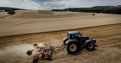 NatWest announces £1.25bn support package for UK farmers