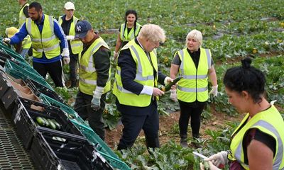 Huge rise in building on prime farmland in England stokes food security fears