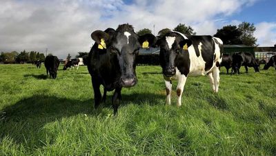 Multi-million euro package planned to reach 30pc farm carbon emissions reduction