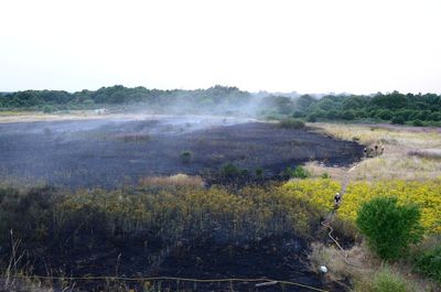 Major incidents in Norfolk and Suffolk amid ‘unprecedented number of fires’