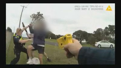 Steven John Cleary pleads guilty after police body cameras capture vicious assault