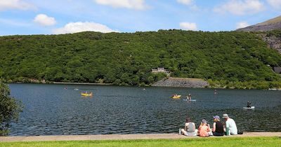 The awful mess of cans, food wrappers and bottles left behind at one of Wales's most beautiful locations