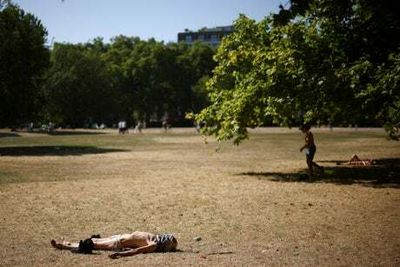 UK weather forecast: Will there be another heatwave in August and what has the Met Office said?