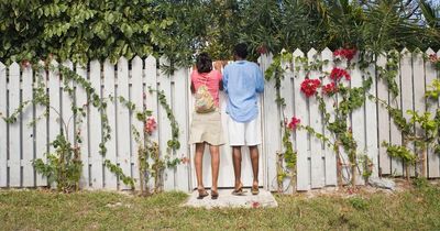 ‘Our neighbours are really clingy - I find them in our back garden’