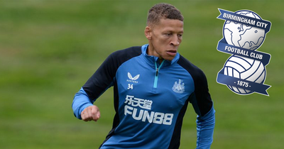 Championship clubs queuing up for Newcastle United striker Dwight Gayle