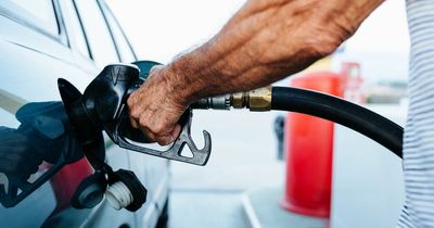 Petrol will be £10 cheaper per tank within two weeks according to AA