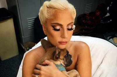 Lady Gaga: £4k reward offered for alleged shooter of star’s dogwalker after wrongly released from jail