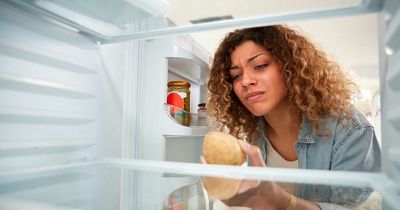 Brain reaction to smell of food makes it harder for obese people to regulate weight, study claims