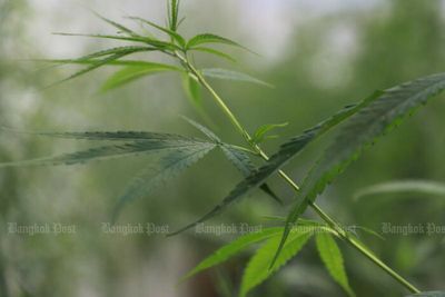 School under fire after student caught selling cannabis