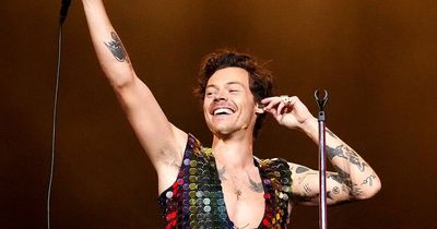 Harry Styles has University course in US dedicated to him after cultural icon status