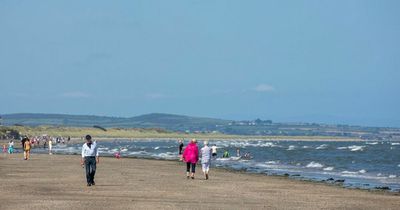 Scrap 'involving several people' in popular seaside village under investigation