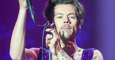 Harry Styles course to be taught at Texas university