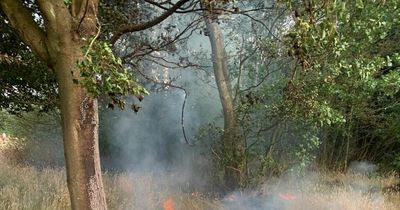 Vandals target beloved golf course caught up in spate of fires