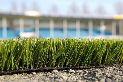 Campaigners call on supermarkets to ban sale of artificial grass during heatwave