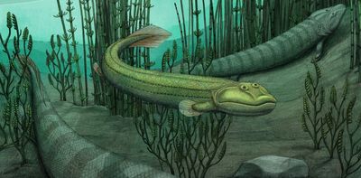Meet _Qikiqtania_, a fossil fish with the good sense to stay in the water while others ventured onto land