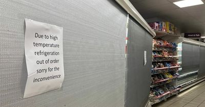 Refrigerators blocked off at Nottingham Sainsbury's due to 'high temperature'