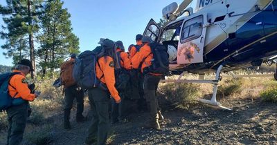 Heroic dog signals rescuers to injured owner who fell off 70ft ridge