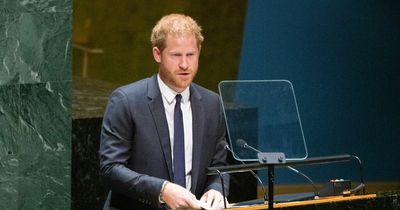 Royal expert says Prince Harry looks 'very low' at UN appearance while his speech gets backlash