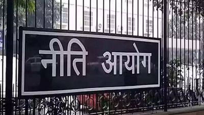 Introduce restricted digital business bank and consumer bank licence: Niti Aayog report