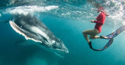 10 amazing travel-conscious holiday experiences from whale counting to eco-boating