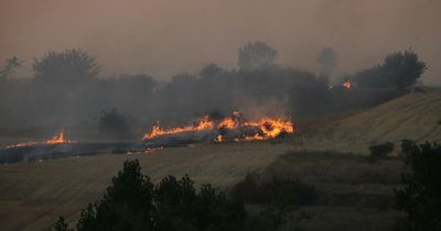 Spain wildfire warning issued to UK tourists as heatwave rages on in Europe