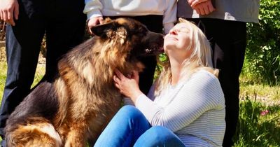 Dog finally reunited with family who fled war-torn Ukraine and found new life in UK