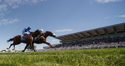 Thursday racing tips and Newsboy's Nap for fixtures including Yarmouth and Sandown