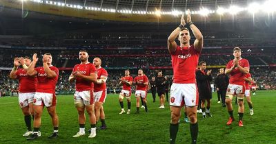 When Wales' best rugby players will play for their clubs again as every man's South Africa workload revealed