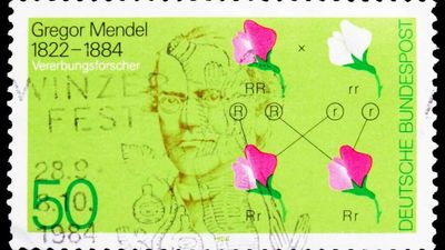 Happy 200th Birthday, Gregor Mendel
