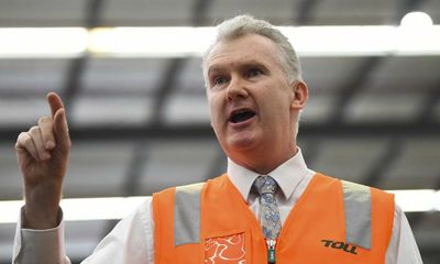 Workplace reform to proceed even without consensus at jobs summit, Tony Burke says